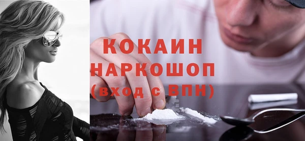 шишки Алексин