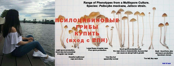 бошки Абинск