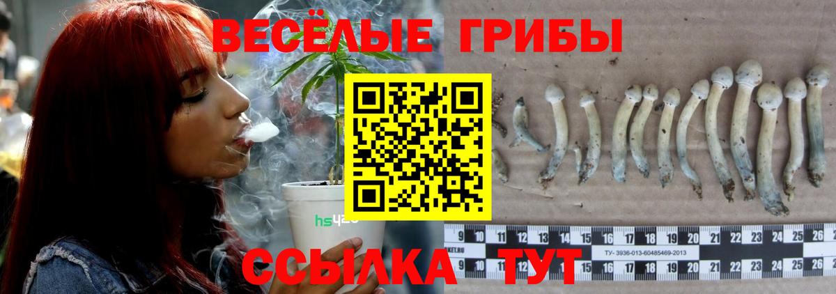 Псилоцибиновые грибы мухоморы Ржев